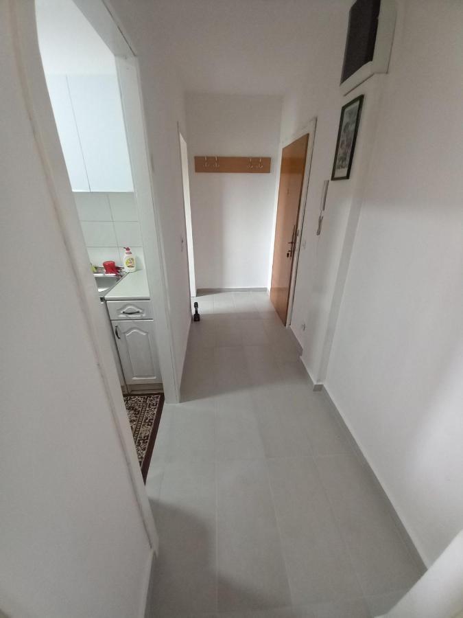 Paun Apartment Podgorica